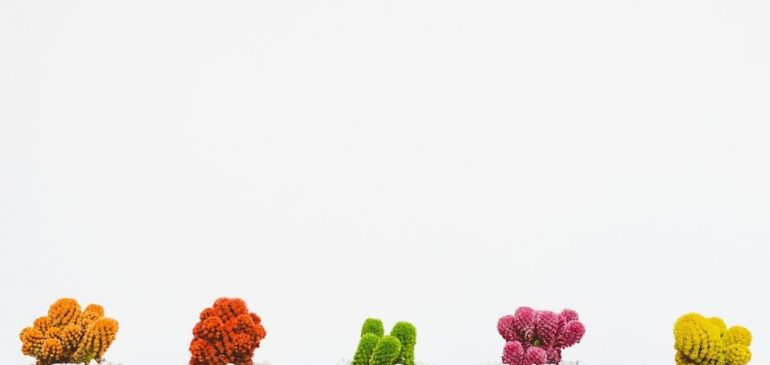 Comment bien choisir un vase à fleurs ?